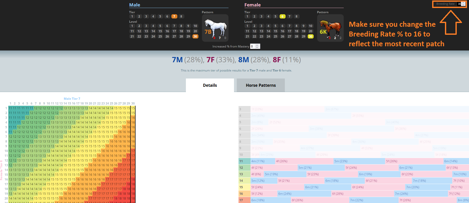 Horse Breeding Guide