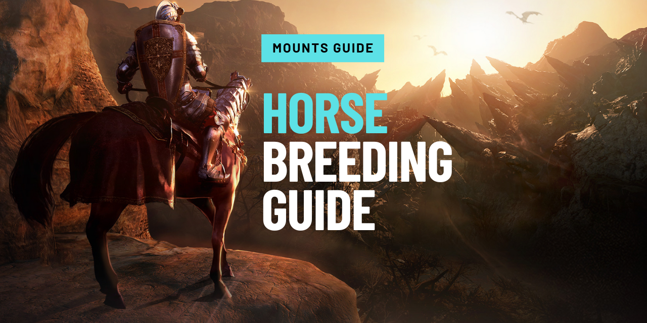 horse breeding