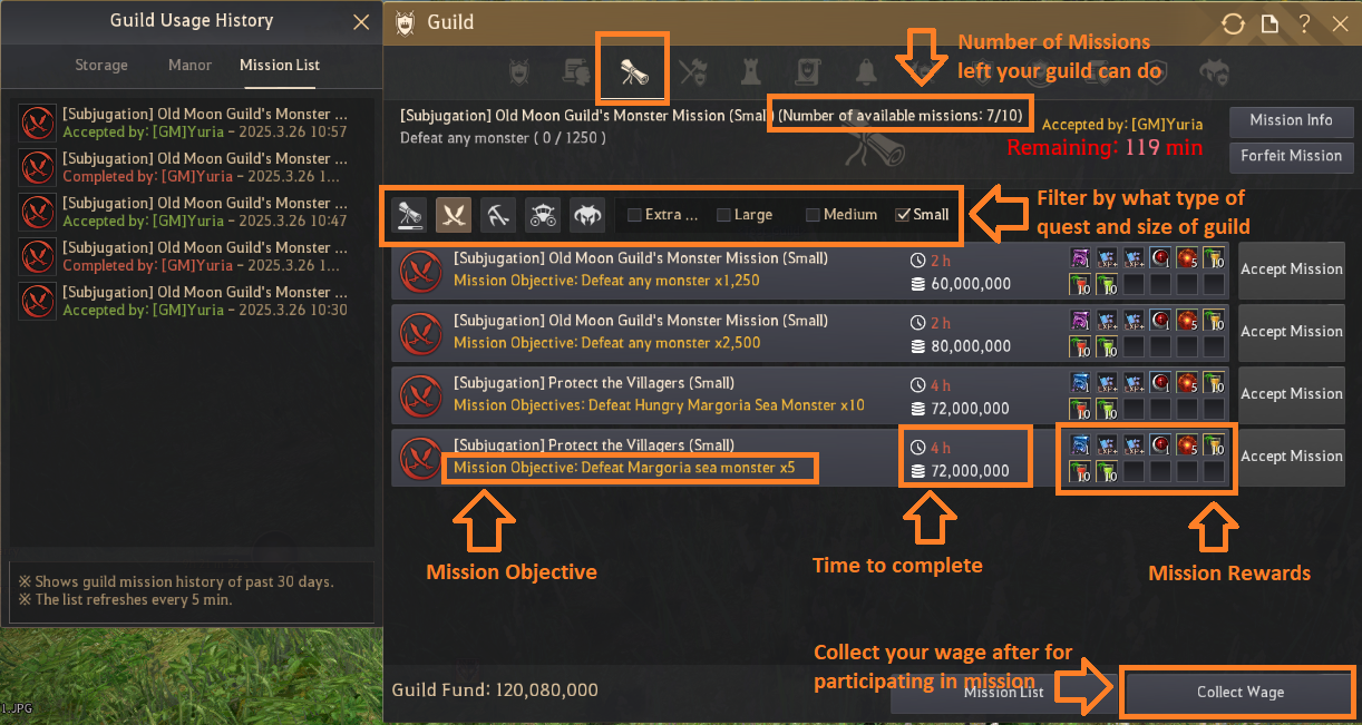 Guilds Guide