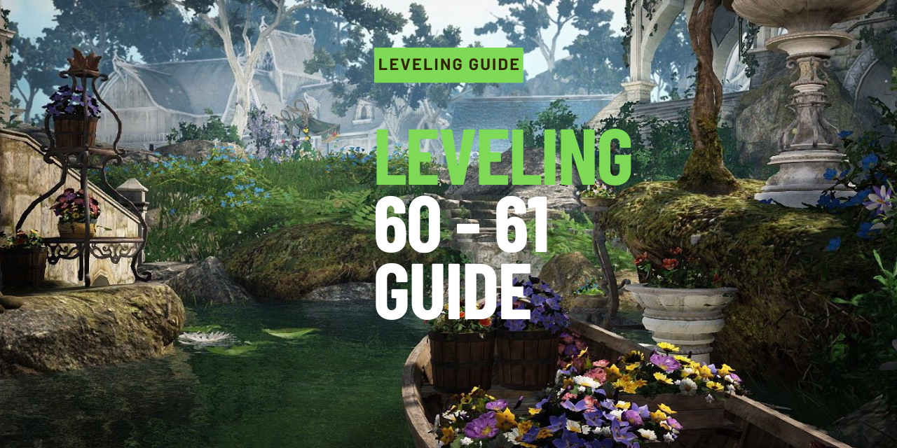 Leveling 60 – 61 Guide