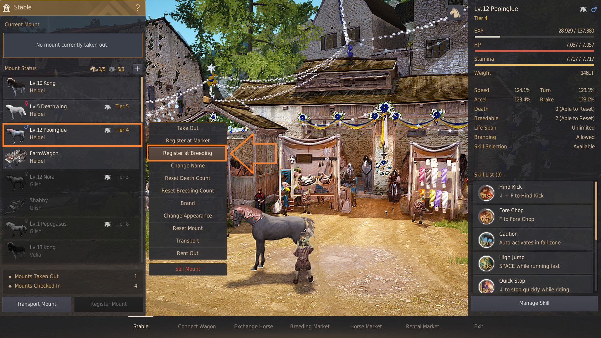 Horse Breeding Guide