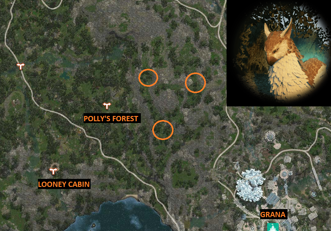 Rare Hunting Knowledge Guide