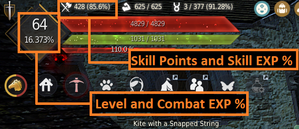 Leveling 1 - 61 Guide (Grinding)