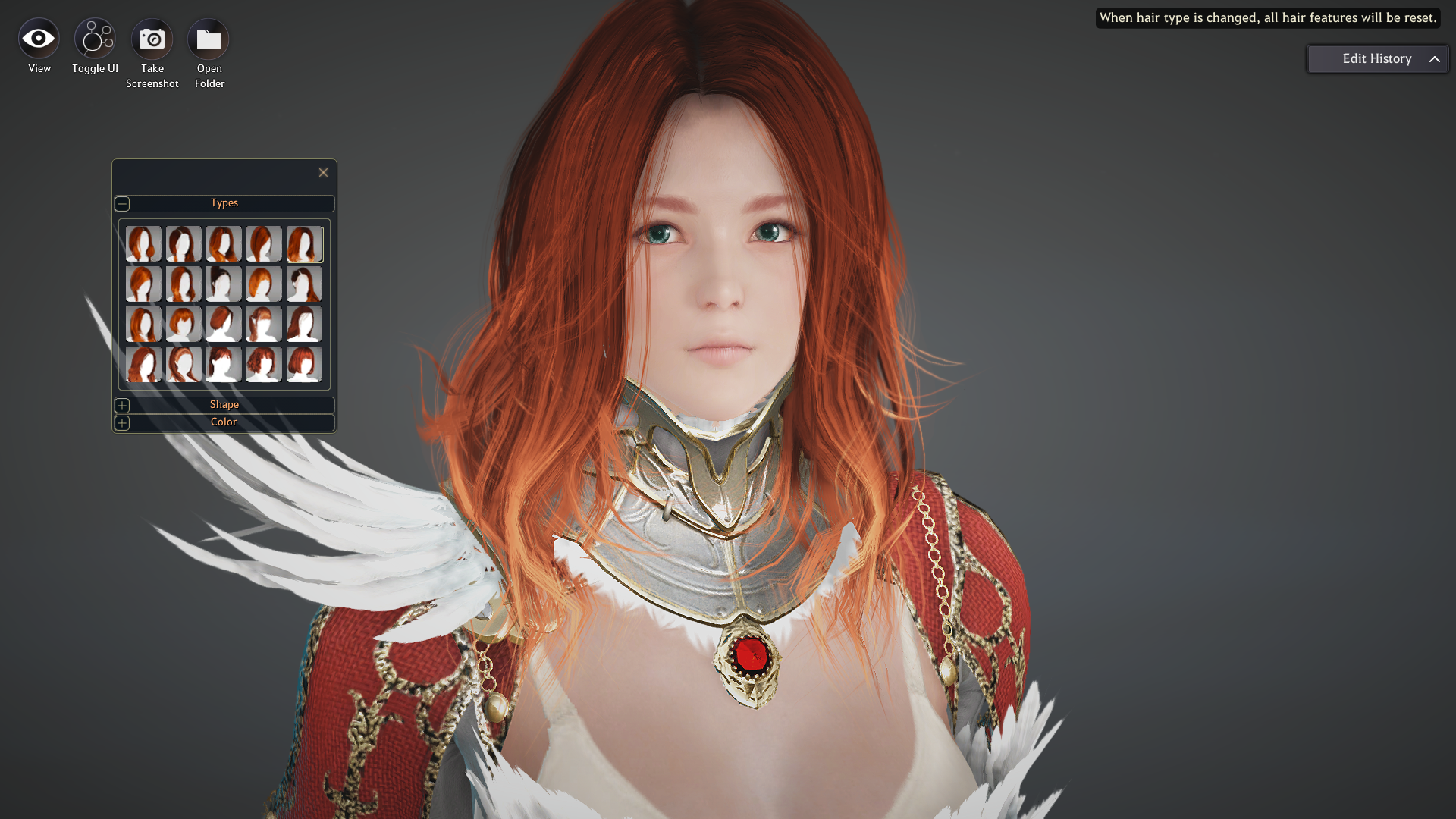 Character Creation & Beauty Album