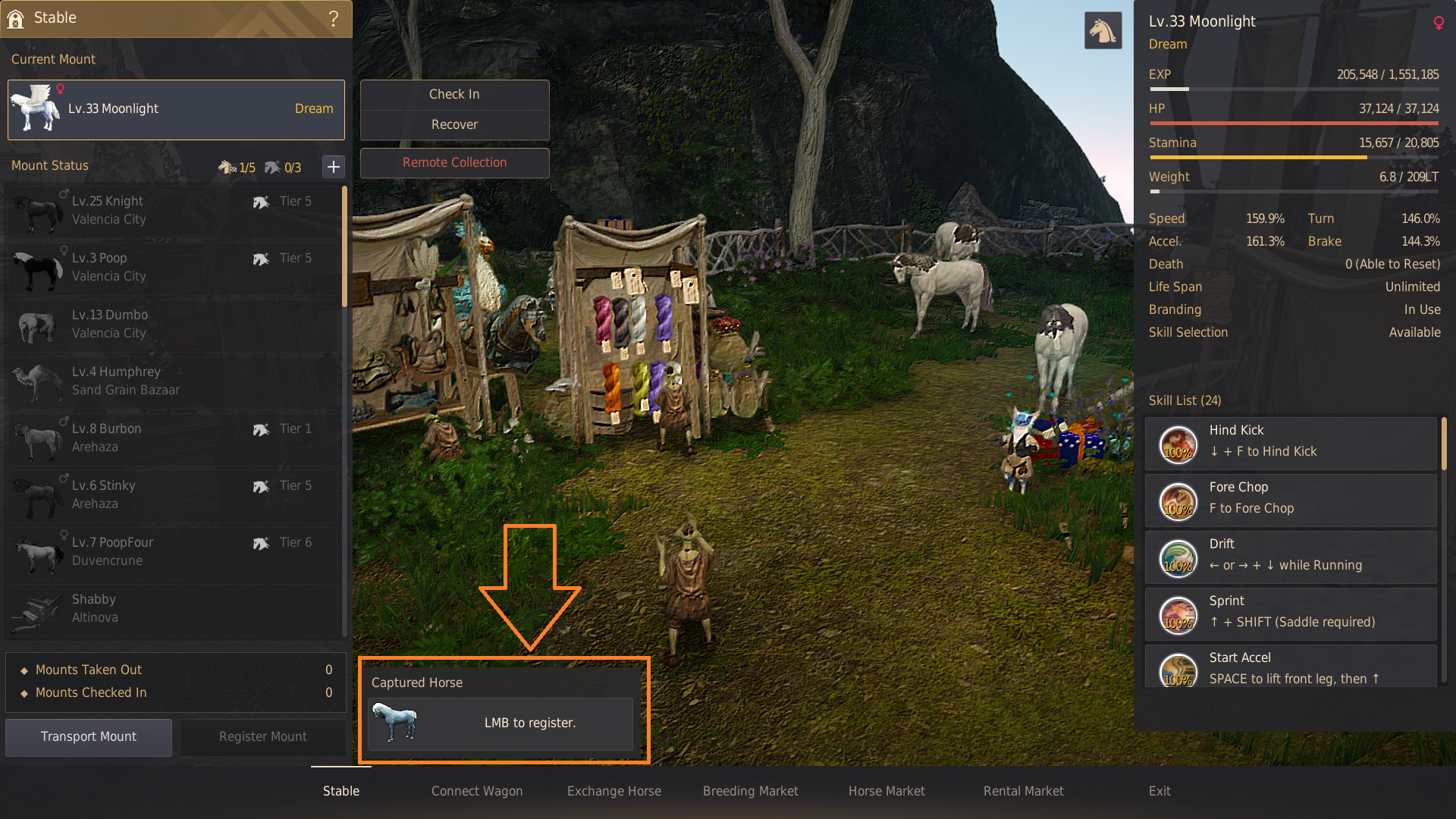 Horse Taming Guide