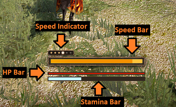 Horse Racing Guide