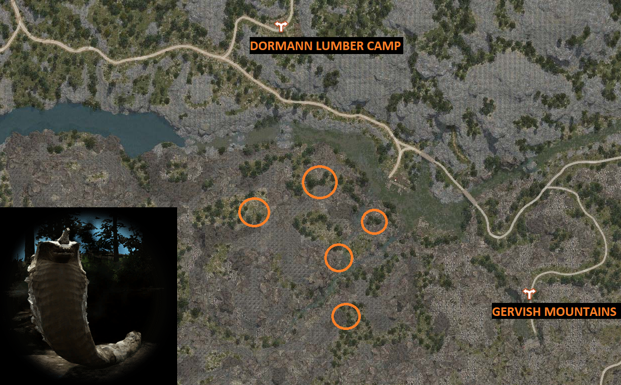 Rare Hunting Knowledge Guide