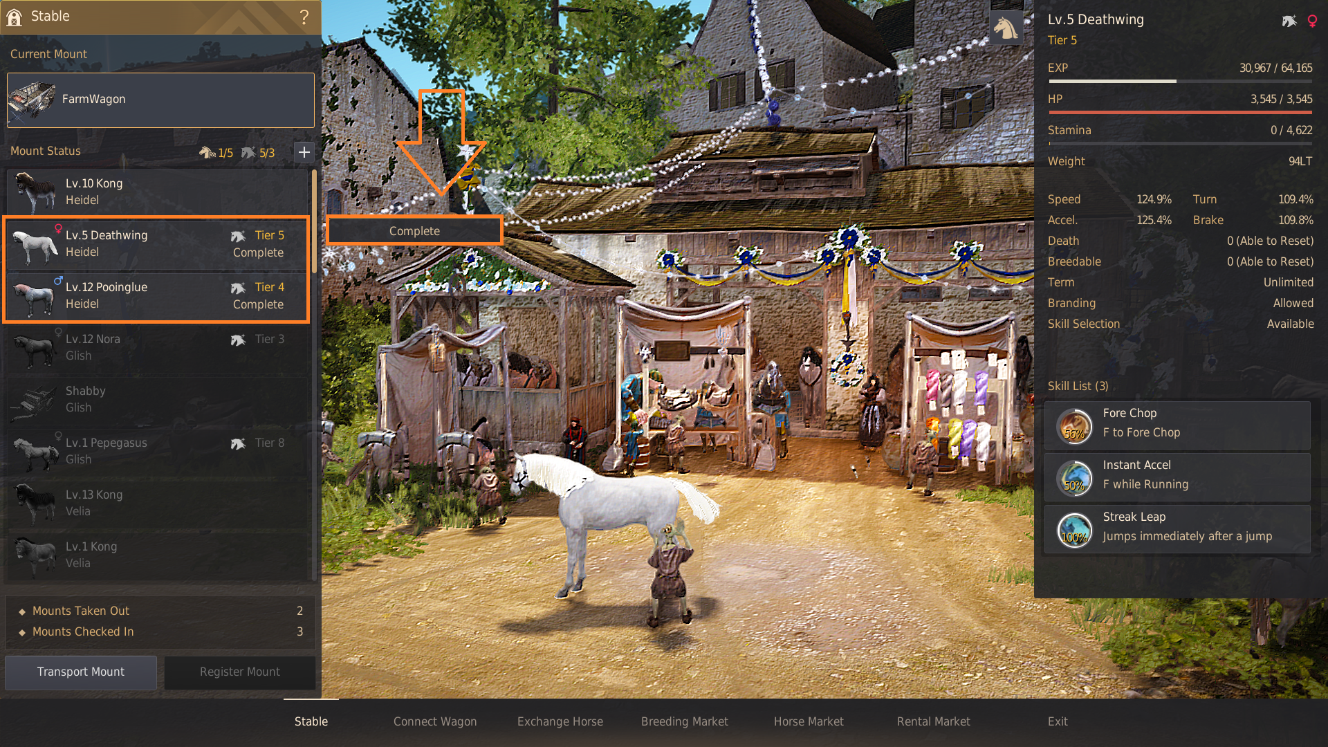 Horse Breeding Guide
