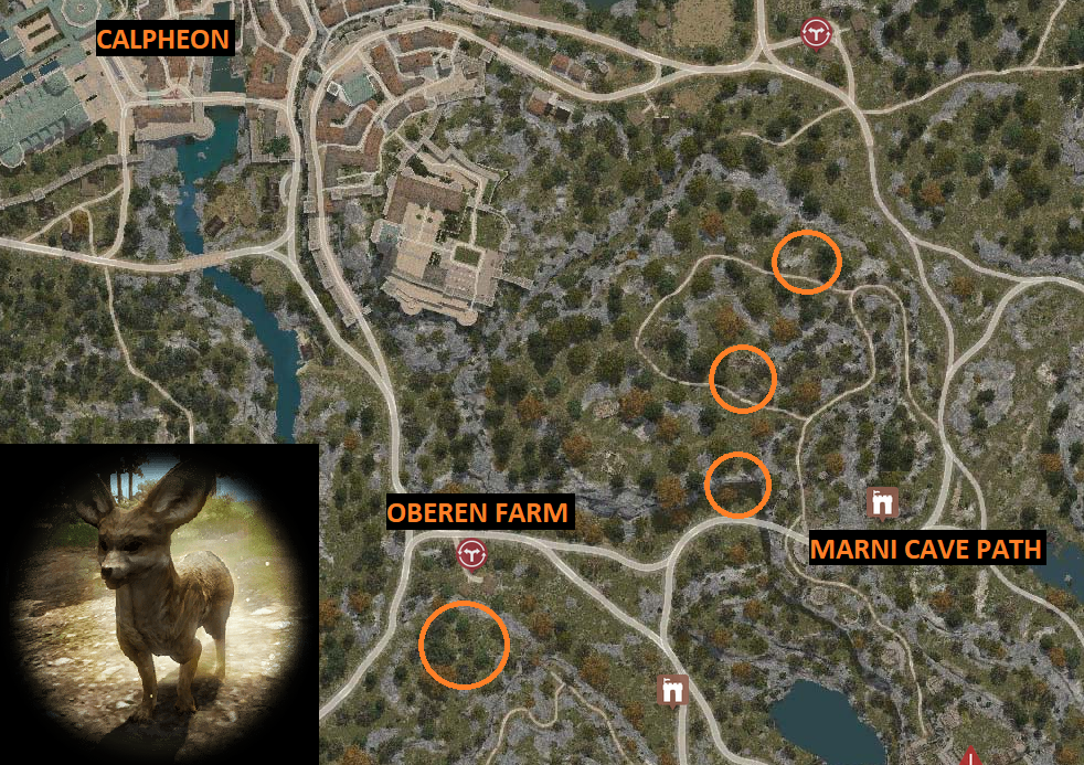 Rare Hunting Knowledge Guide