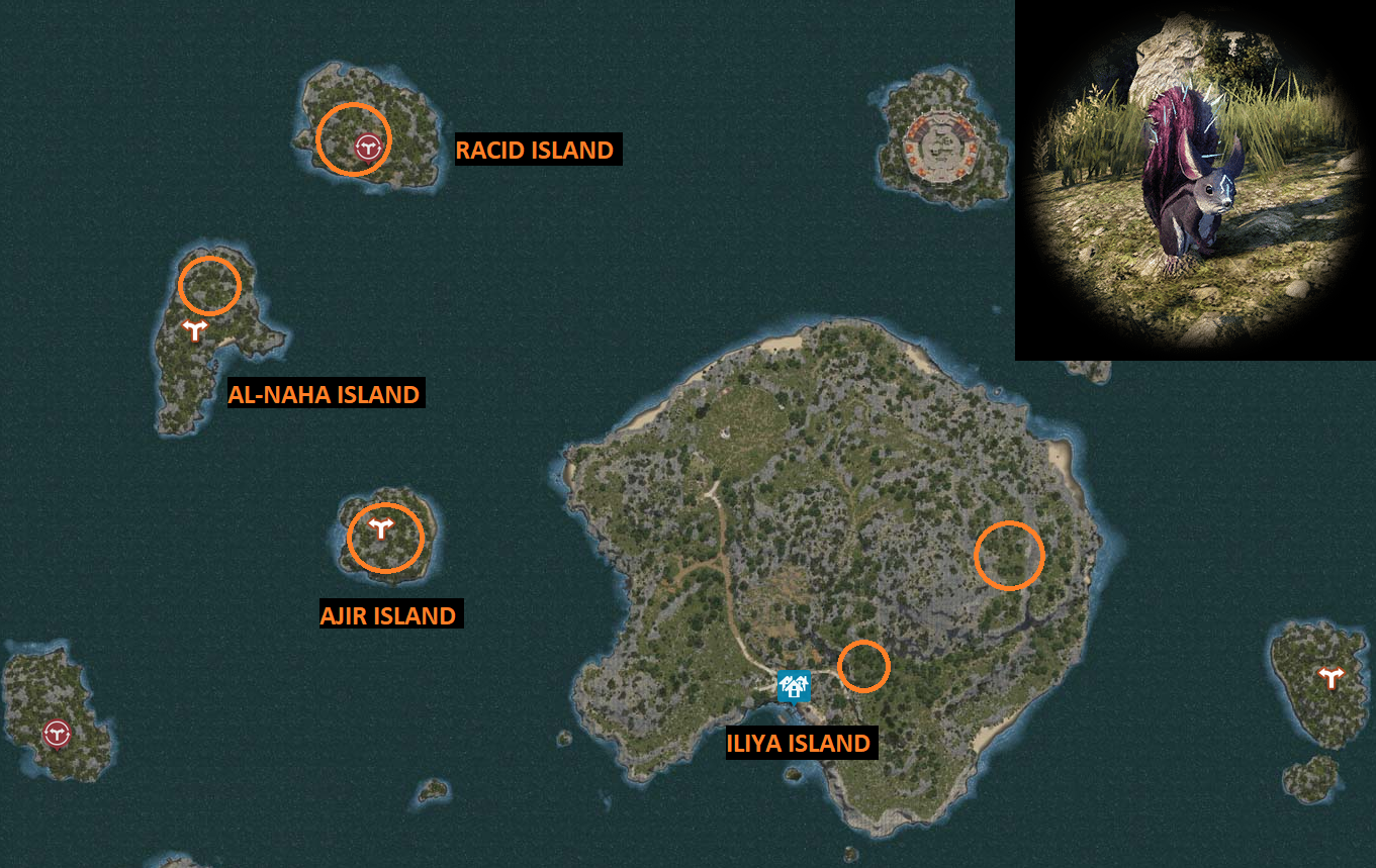 Rare Hunting Knowledge Guide
