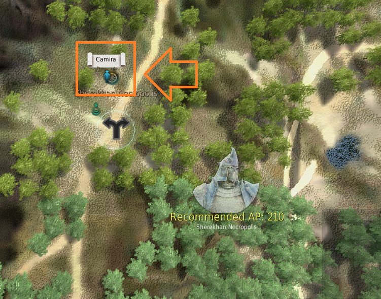bdo-infinite-potions-camira