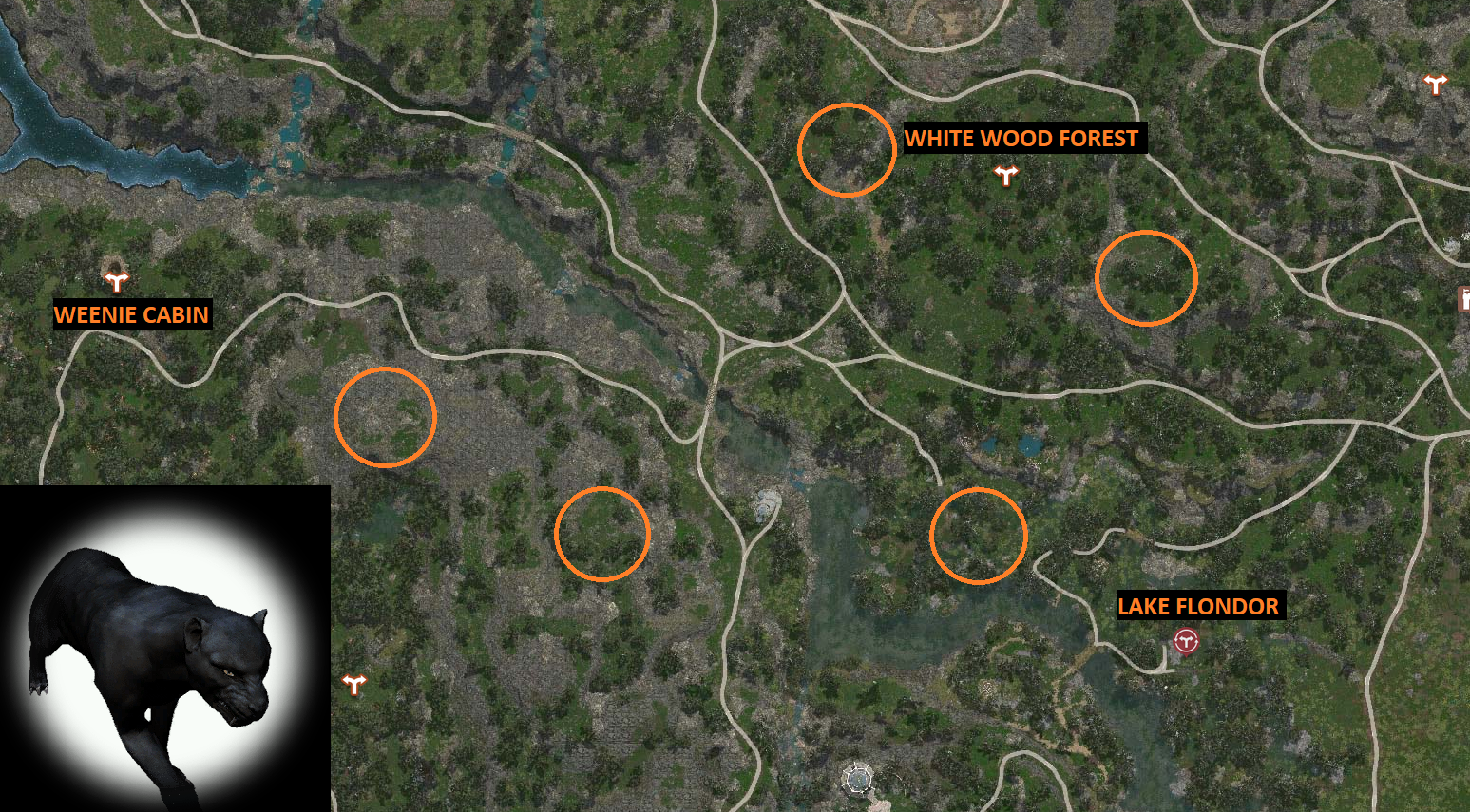 Rare Hunting Knowledge Guide