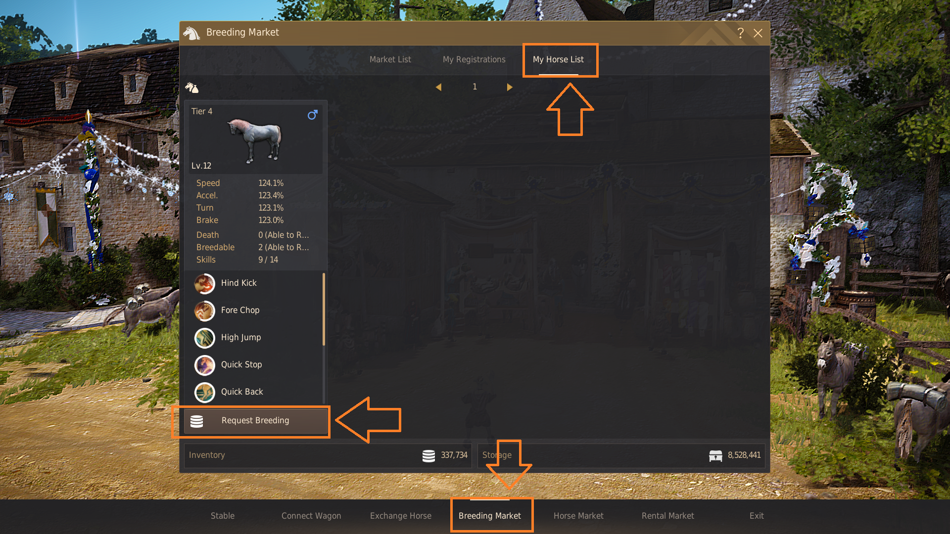 Horse Breeding Guide