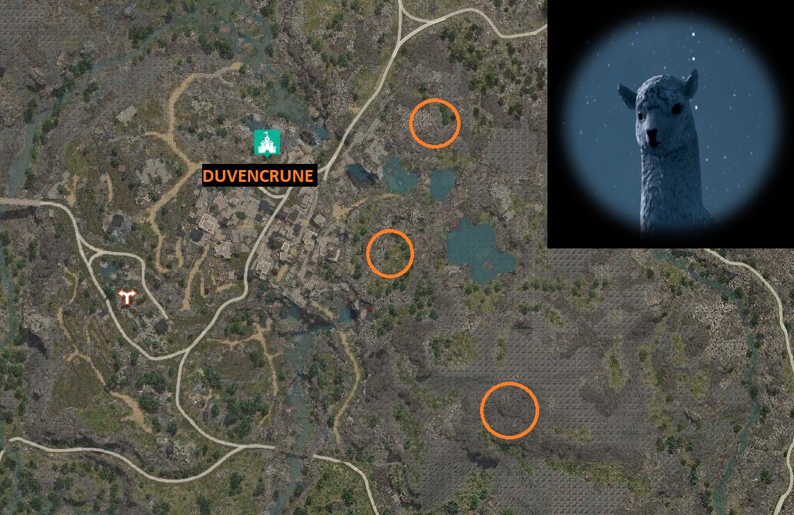 Rare Hunting Knowledge Guide