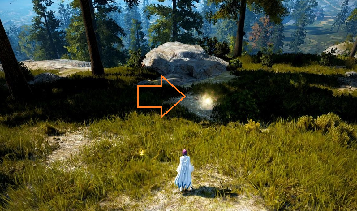 Rare Hunting Knowledge Guide