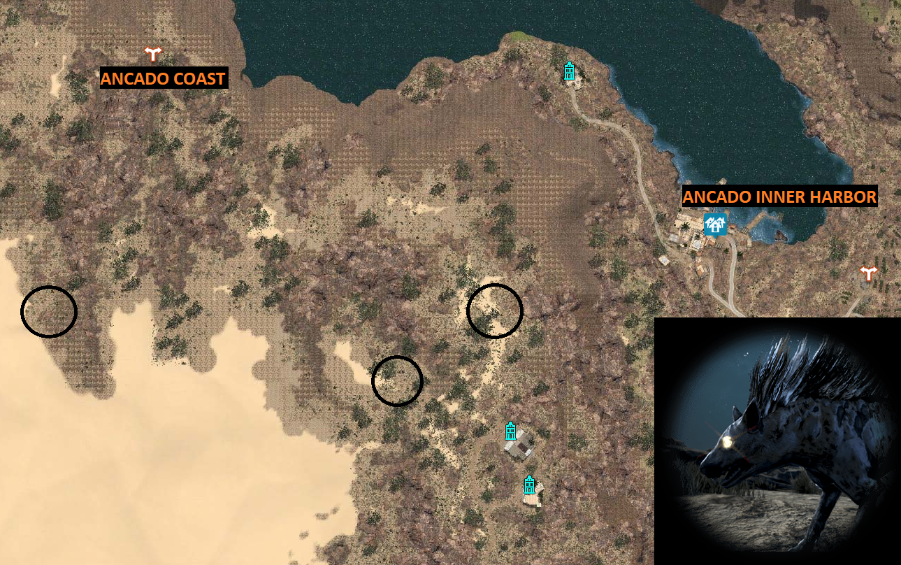 Rare Hunting Knowledge Guide