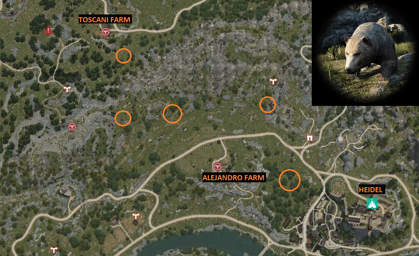 Rare Hunting Knowledge Guide