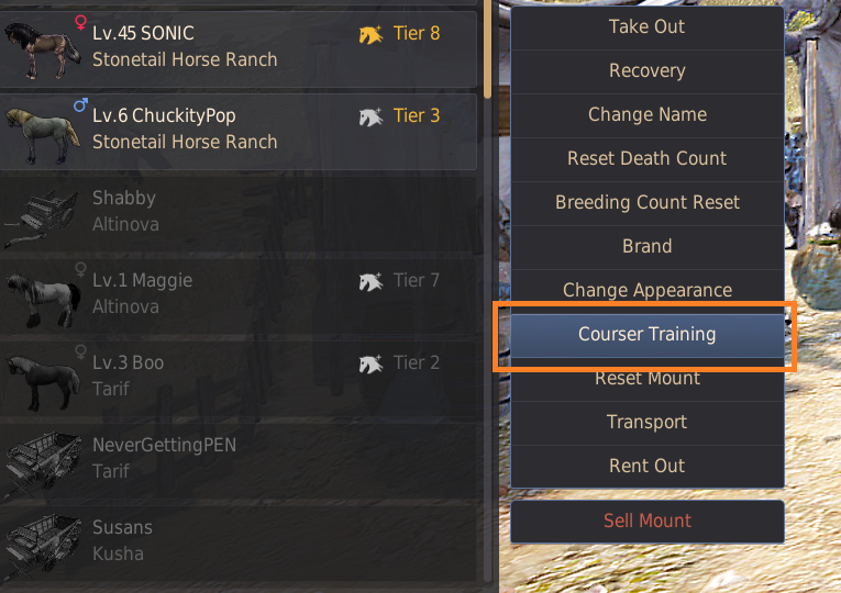 Dream Horses (Tier 9) Guide