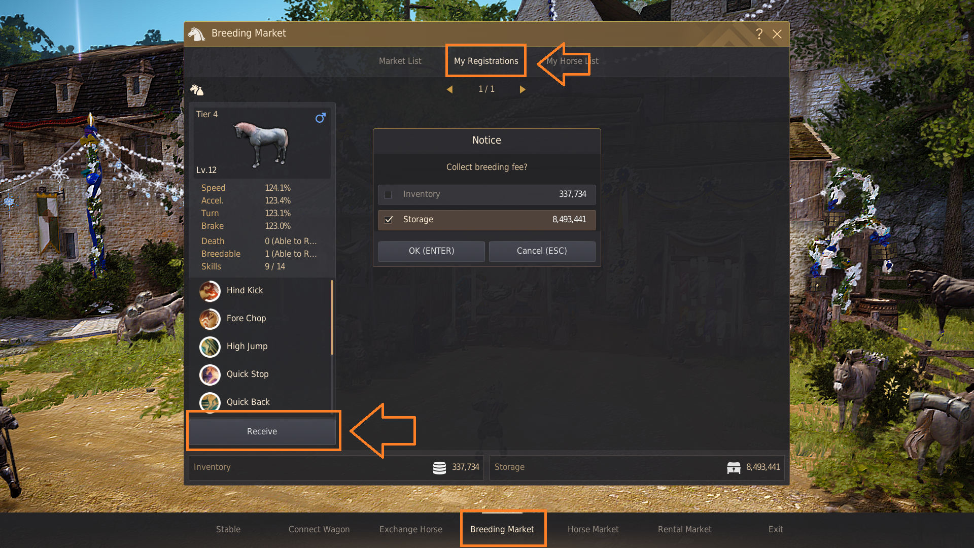 Horse Breeding Guide