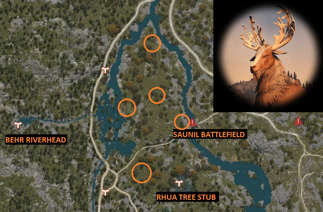 Rare Hunting Knowledge Guide