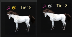Horse Training Lifeskill Guide