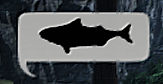 Fishing Lifeskill Guide