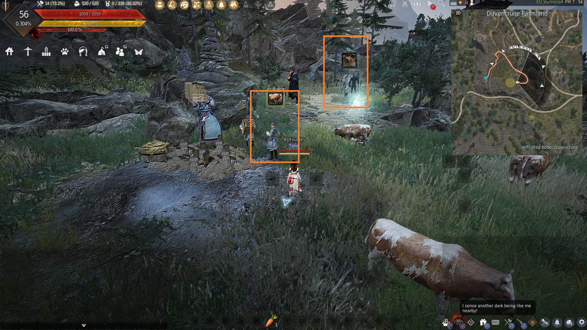 Duvencrune CP Daily Quests