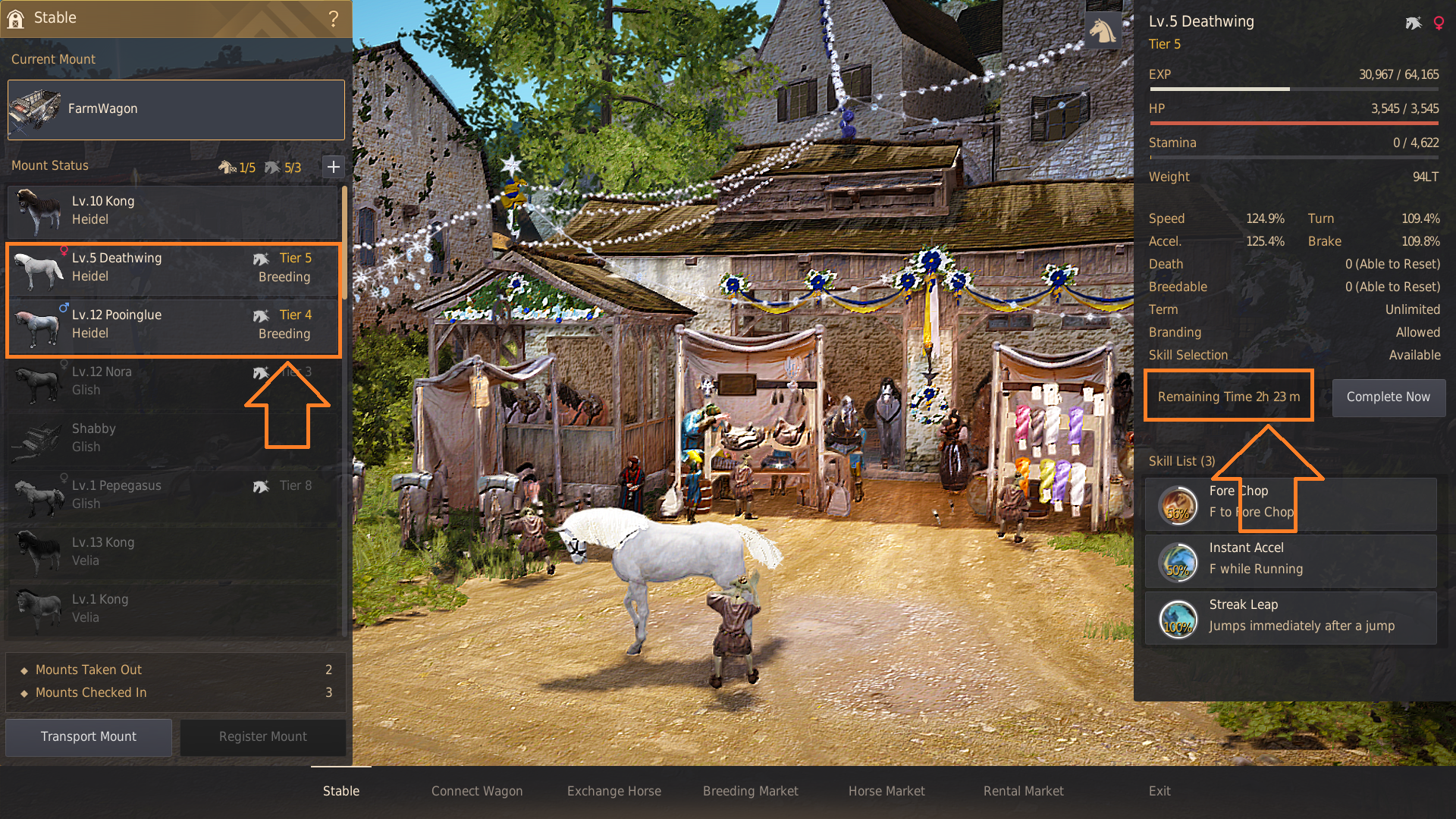 Horse Breeding Guide