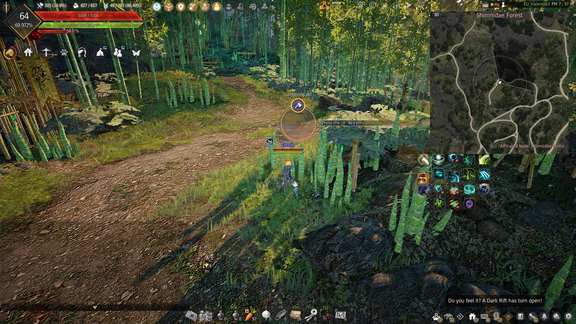 The Eyes of Adventure Journal Guide