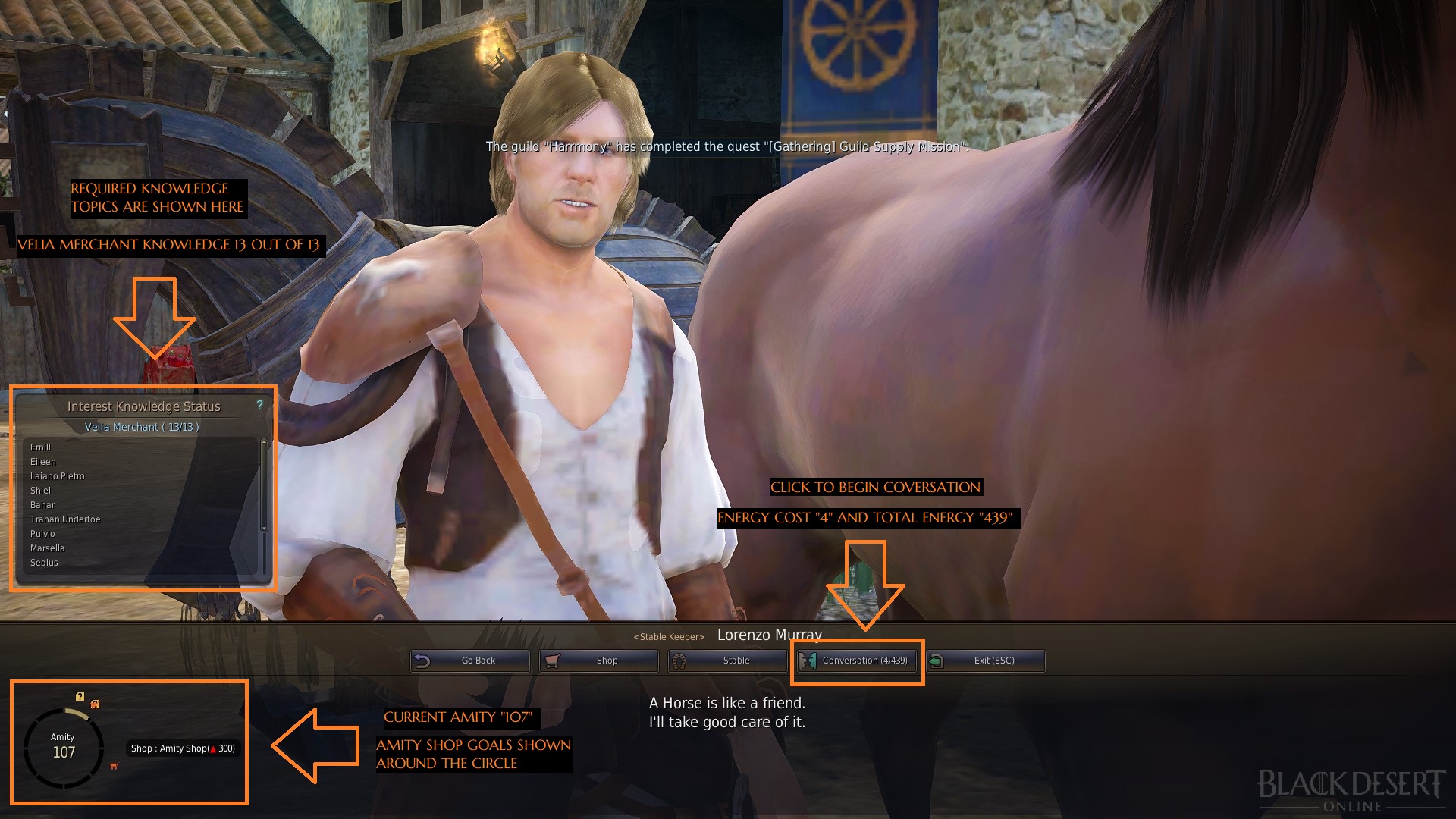 Amity & Conversation Guide