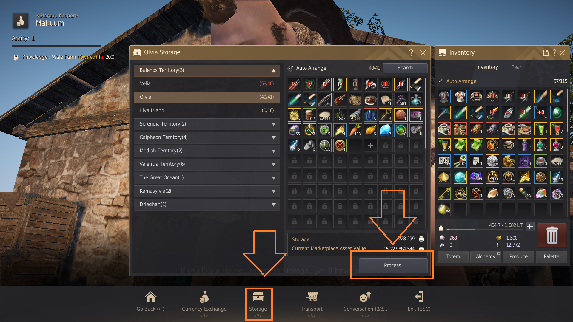Processing Lifeskill Guide