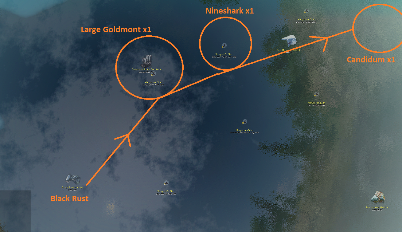 Sailing Lifeskill Guide