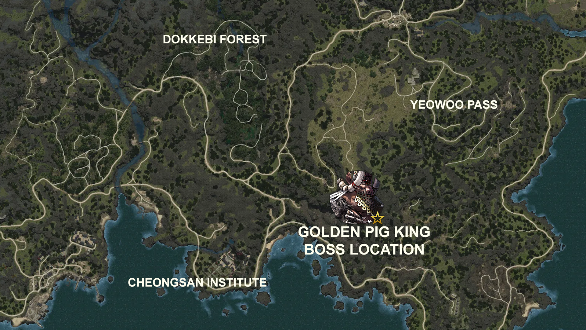 Land of the Morning Light: Seoul Patch Guide