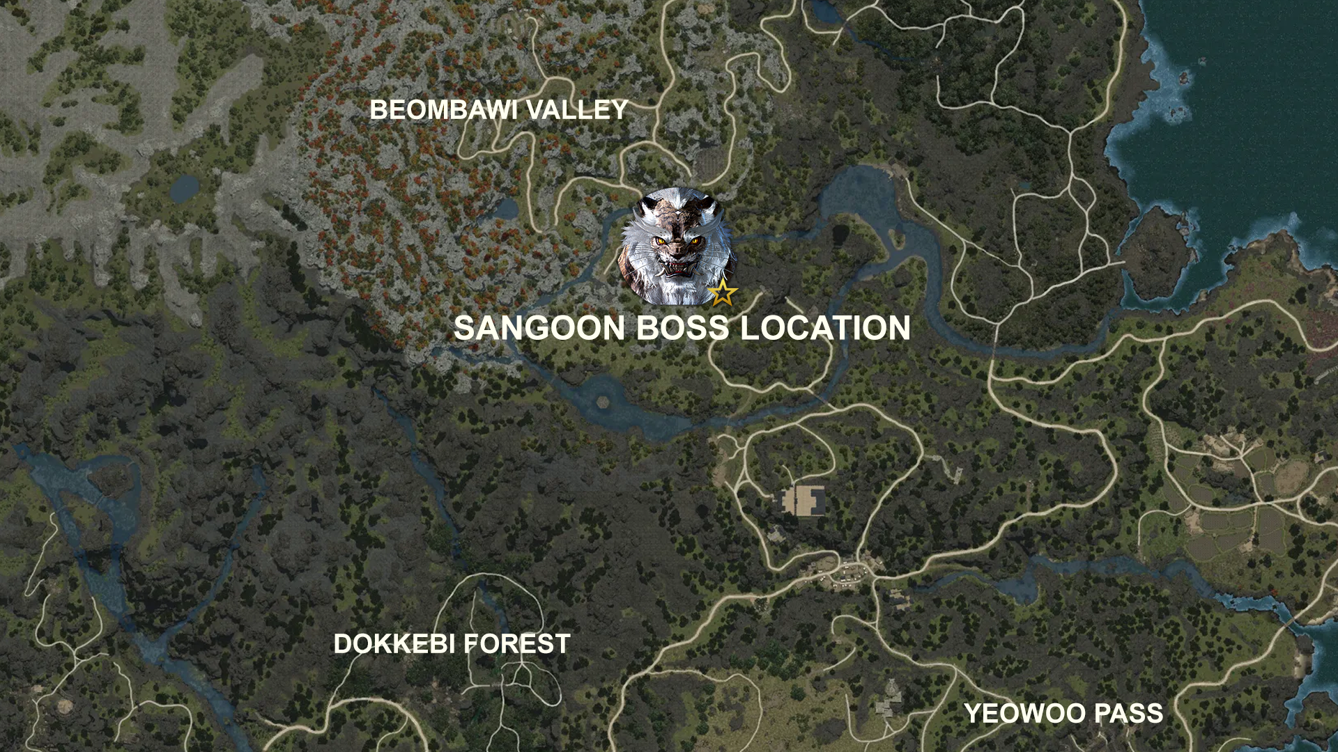 Land of the Morning Light: Seoul Patch Guide