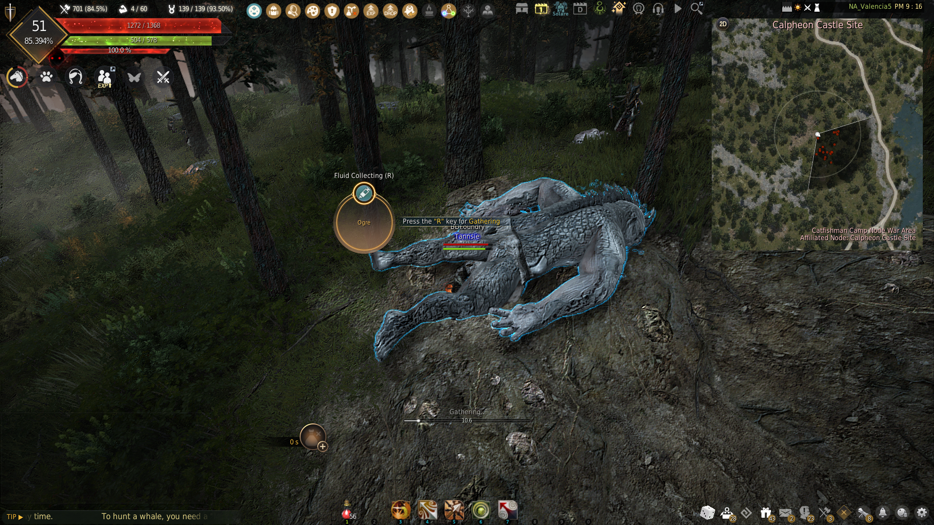 Igor Bartali's Adventure Log Guide