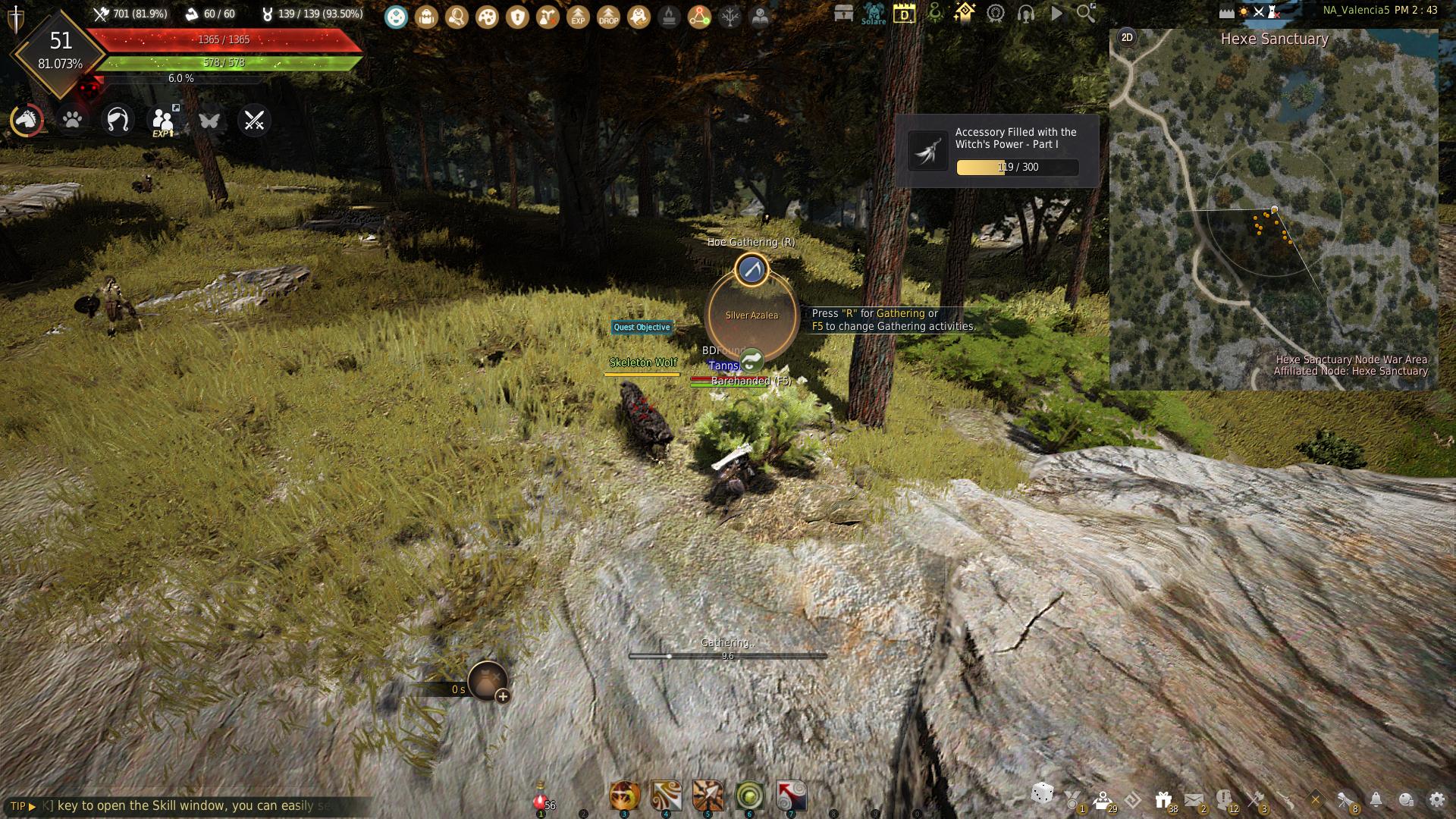 Igor Bartali's Adventure Log Guide