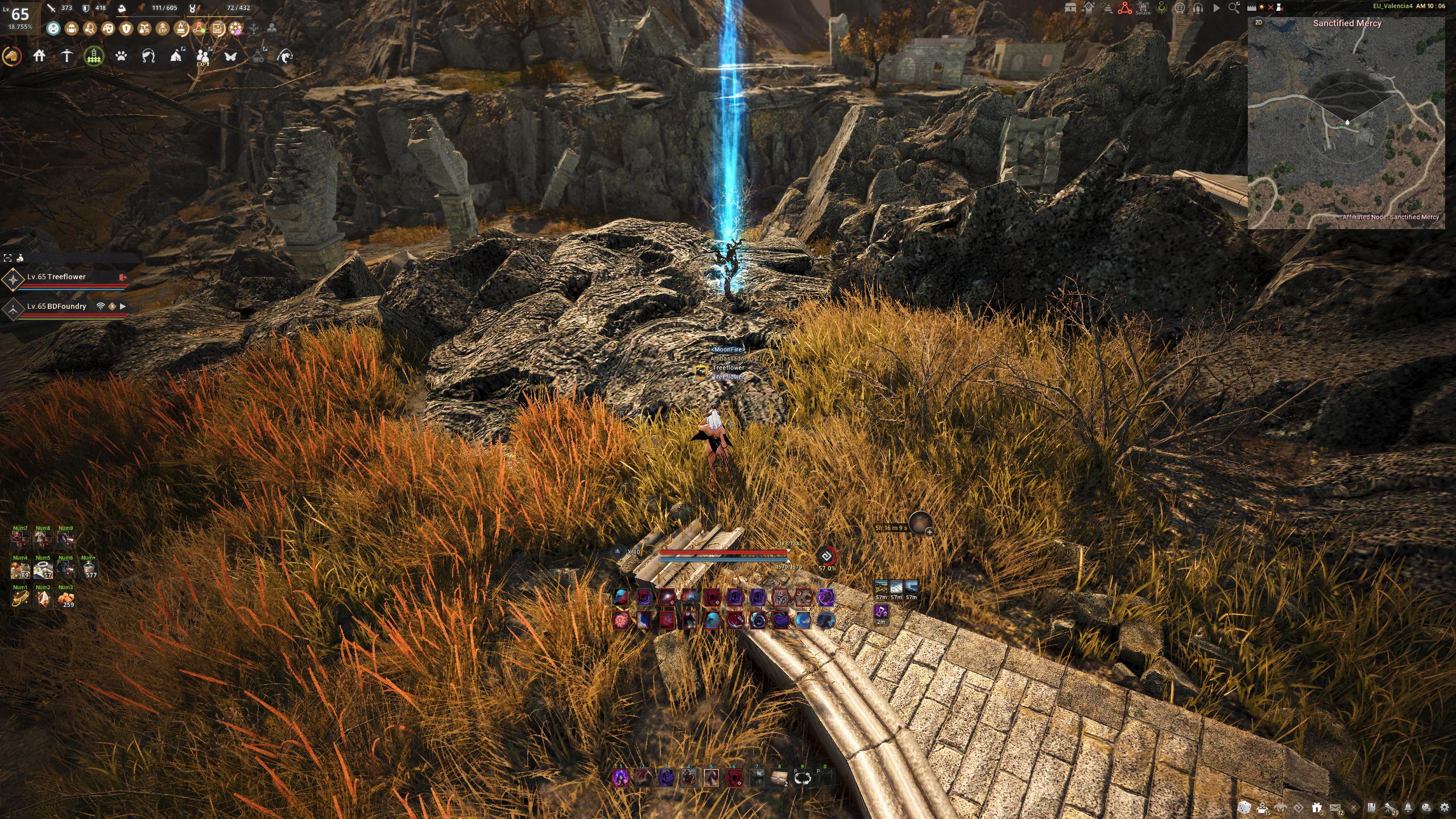 Caphras' Sapling Guide